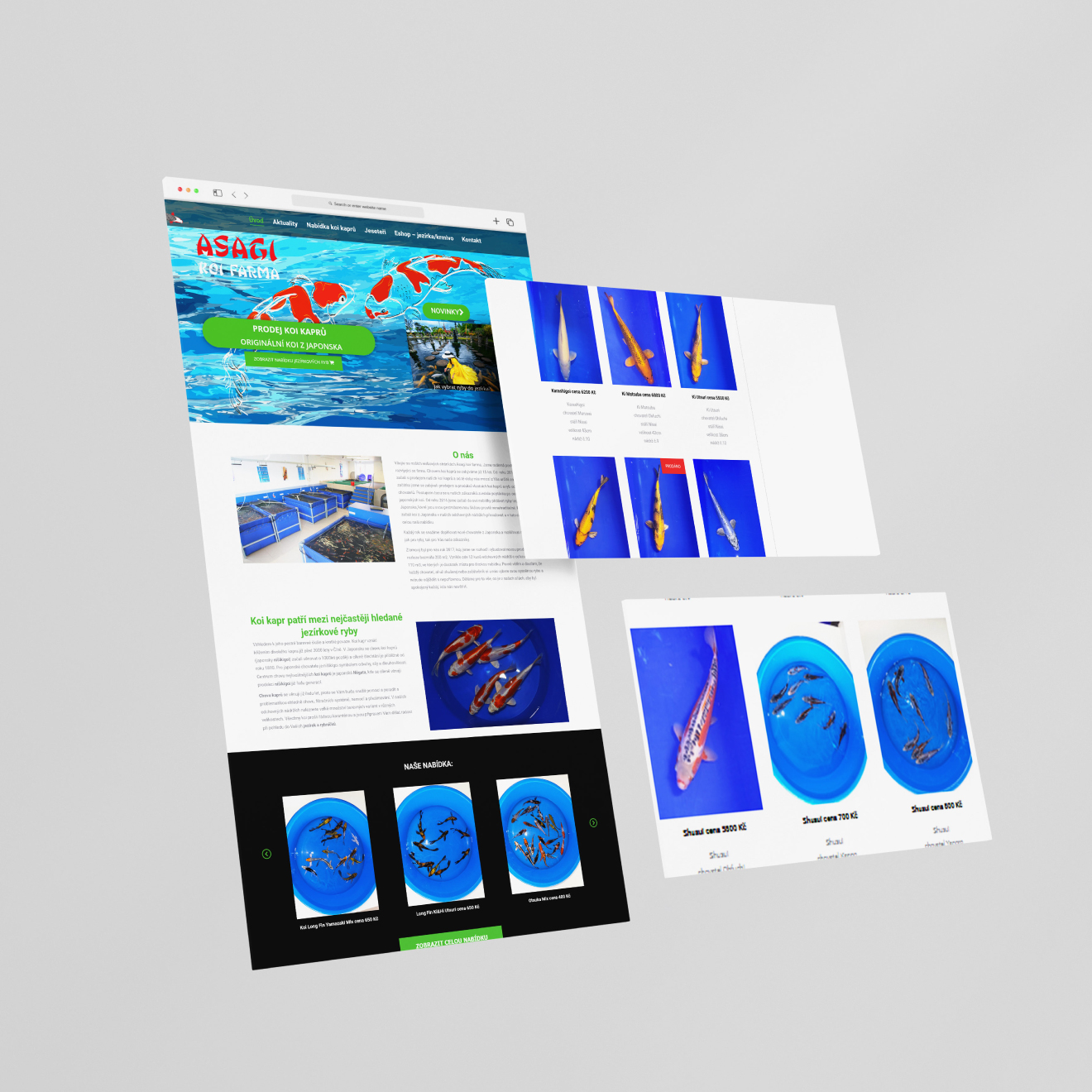 nahled-eshopu-jezirkove-ryby
