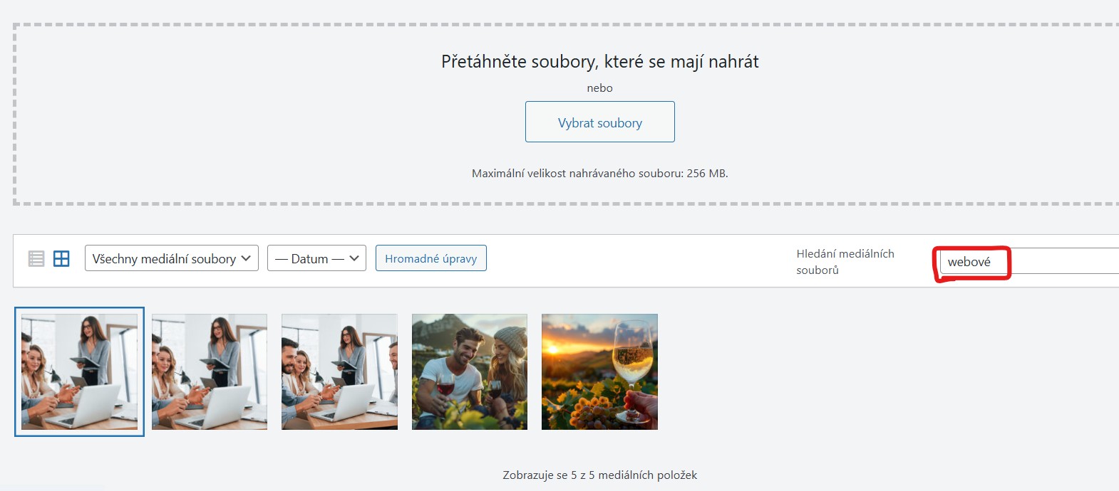 filtrovani-fotek-wordpress